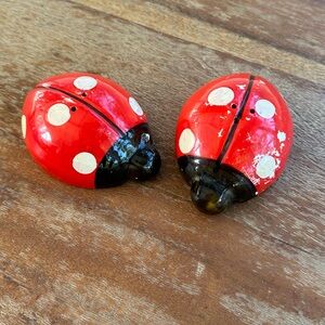 Vintage Lady Bug Salt & Pepper Shakers